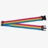 Pansexual Flag Luggage Strap -Bioworld Store 15606905 hi
