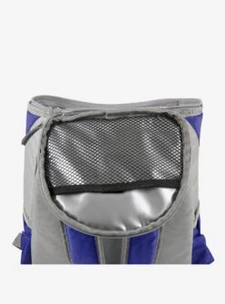 Disney Mickey Mouse NFL Denver Broncos Cooler Backpack -Bioworld Store 19831959 av2